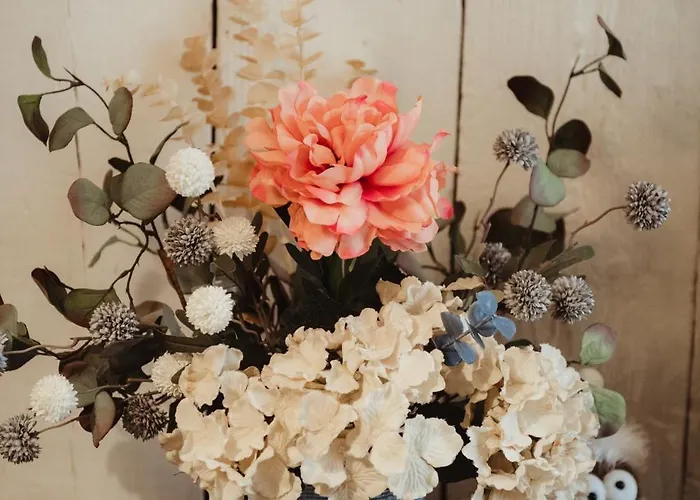 Casa Cappuccino Roma